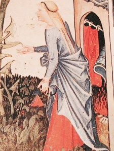 Tacuinum Sanitatis, Vienna