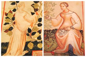 Muckley 1386 Womens Clothing: Middle Class