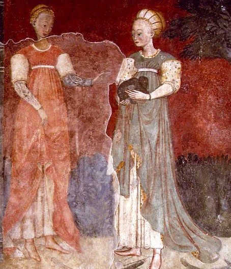 Immagini realizzate da Andrea Carloni (Rimini)