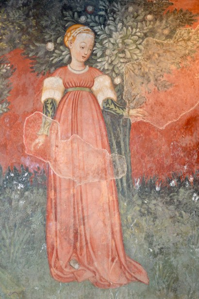 Immagini realizzate da Andrea Carloni (Rimini)